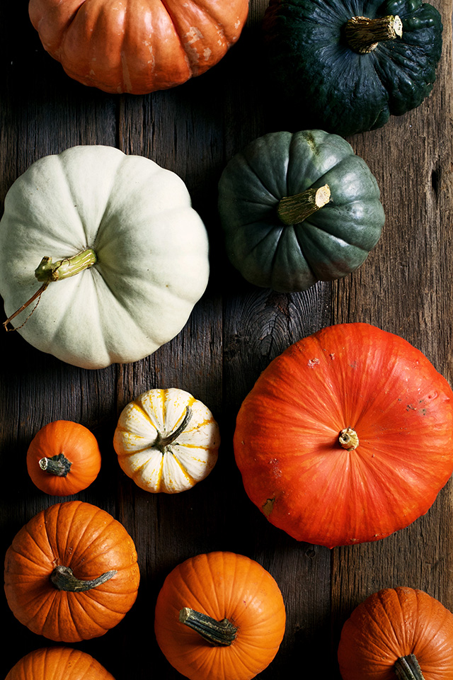 A Guide To Heirloom Pumpkins | Food Bloggers of Canada
