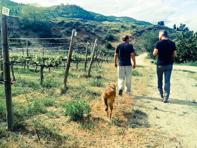 Canadian Wine: TH Wines by Tyler Harlton