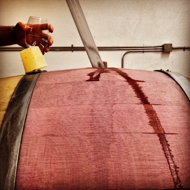 Canadian Wine: TH Wines by Tyler Harlton