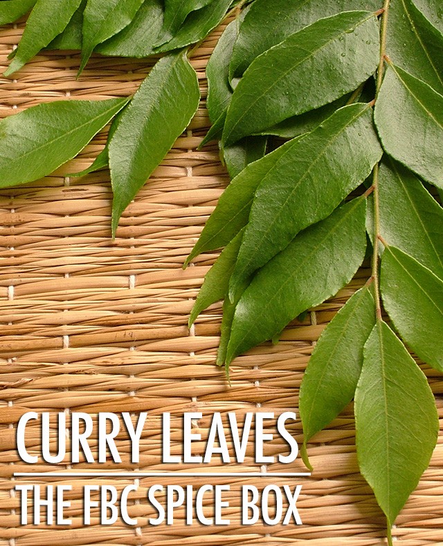 The FBC Spice Box: Getting to Know Curry Leaves | Food Bloggers of Canada