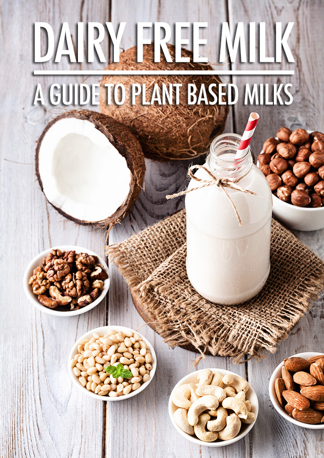 A Guide To Dairy Free Milks | Food Bloggers of Canada