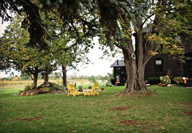 Canadian Wine: Niagara's Pearl Morissette Wines