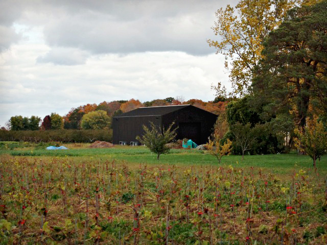Canadian Wine: Niagara's Pearl Morissette Wines