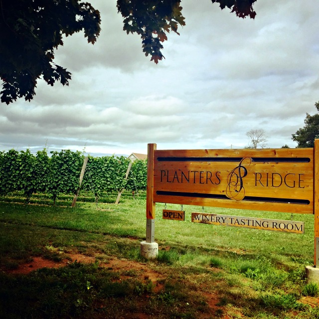 Canadian Wine: Planter's Ridge Winery | Food Bloggers of Canada