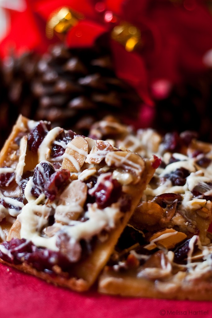 Jingle Bars | Food Bloggers of Canada