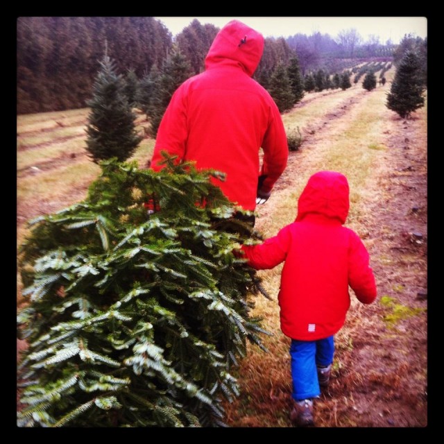 hubby-and-mr-b-christmas-tree-weekend