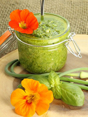Basil Garlic Scape Pesto | Earth Food and Fire