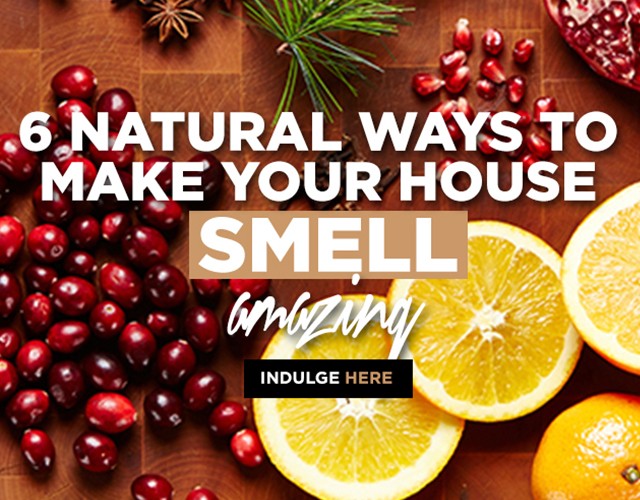 FBC Featured Member: Bite Me More | Food Bloggers of Canada