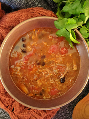 Pork Carnitas Black Bean Soup | Dish 'n' the Kitchen
