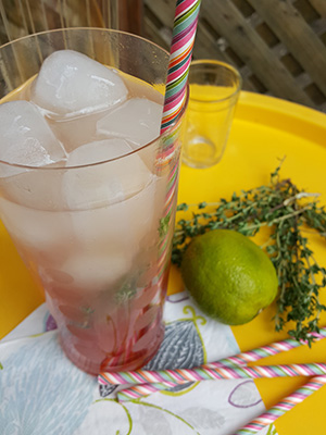 Creative Ways With Rhubarb | Food Bloggers of Canada