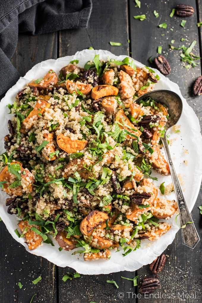 Dandelion Recipes | Food Bloggers of Canada