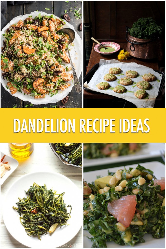 Dandelion Recipe Ideas | Food Bloggers of Canada