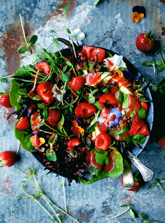 FBC Featured Member: Occasionally Eggs | Food Bloggers of Canada