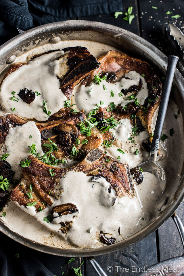 FBC Featured Member: The Endless Meal | Food Bloggers of Canada