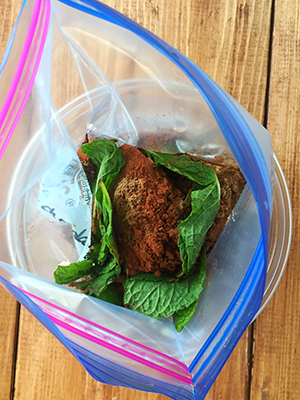 30 Ways to Use Mint | Food Bloggers of Canada