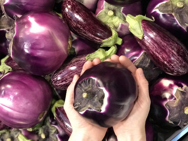 Photo 2017-05-10, 10 40 22 AM