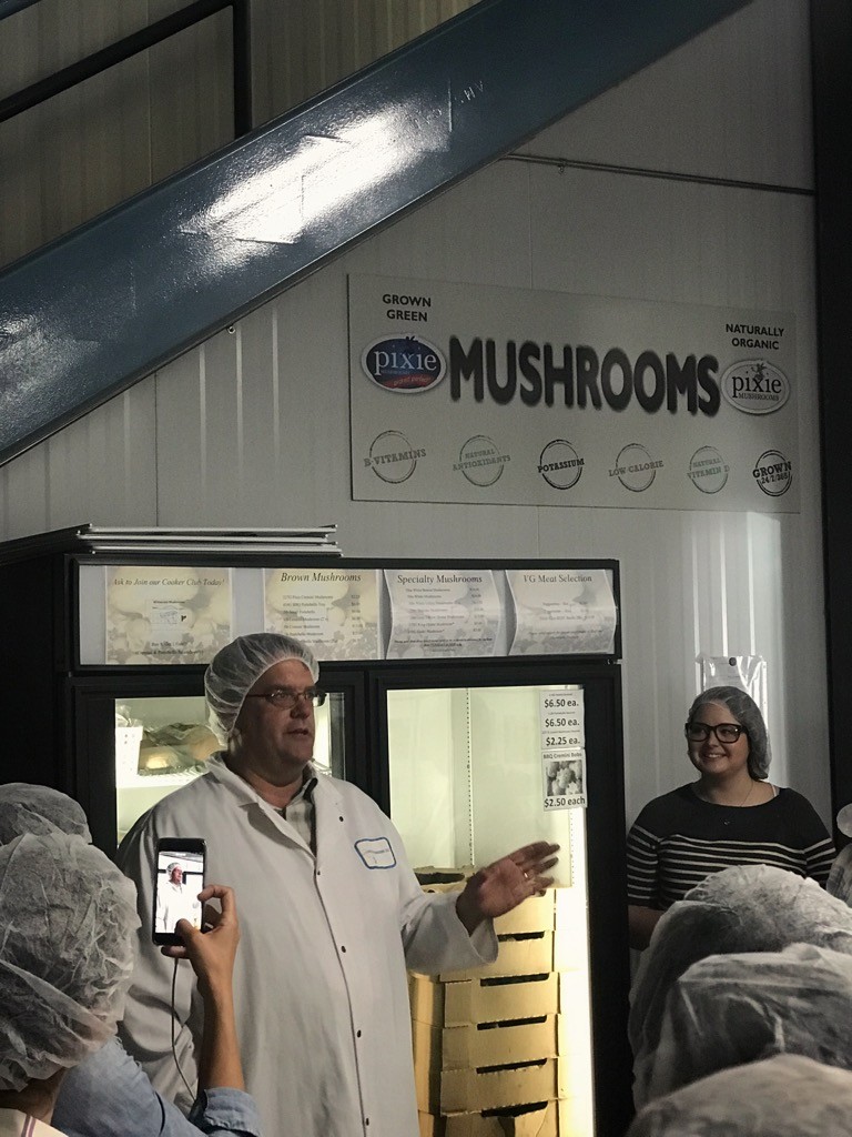 Blend & Extend: A Mushroom and Beef Farm Tour