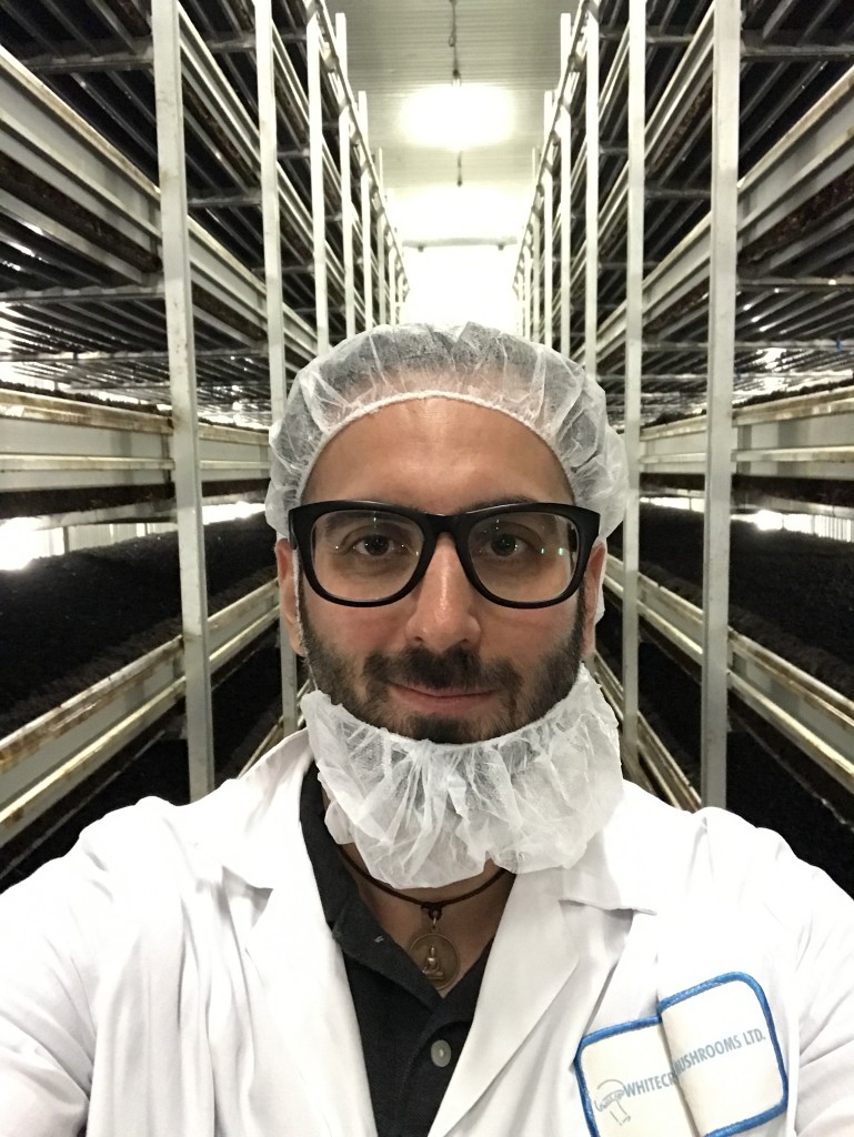 Blend & Extend: A Mushroom and Beef Farm Tour