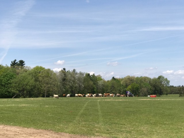 Blend & Extend: A Mushroom and Beef Farm Tour