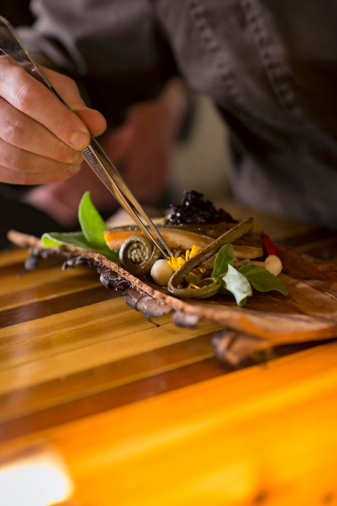 Garrett Thienes of Harvest Eatery and Fresh Market | Food Bloggers of Canada