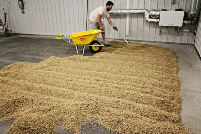 Canada's Craft Beer: Horton Ridge Malt and Grain Company