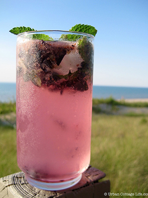 Over 70 Juicy Canadian Blueberry Recipes | Food Bloggers of Canada