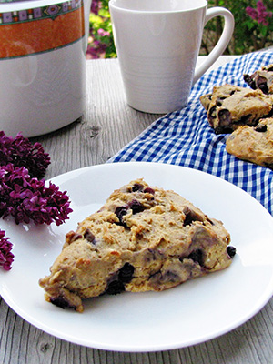 70 + Juicy Blueberry Recipes | Food Bloggers of Canada