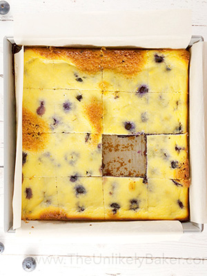 Over 70 Juicy Canadian Blueberry Recipes | Food Bloggers of Canada