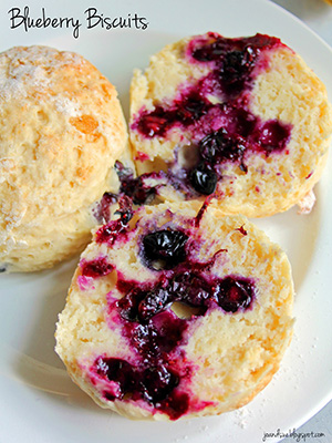 Over 70 Juicy Canadian Blueberry Recipes | Food Bloggers of Canada