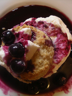 Over 70 Juicy Canadian Blueberry Recipes | Food Bloggers of Canada