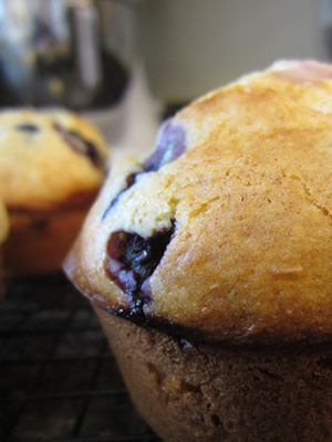 Over 70 Juicy Canadian Blueberry Recipes | Food Bloggers of Canada