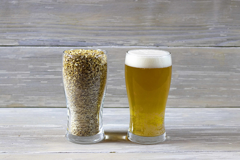 Home Brewing Essentials: Understanding Malt