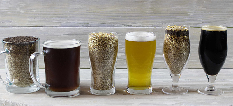 Home Brewing Essentials: Understanding Malt