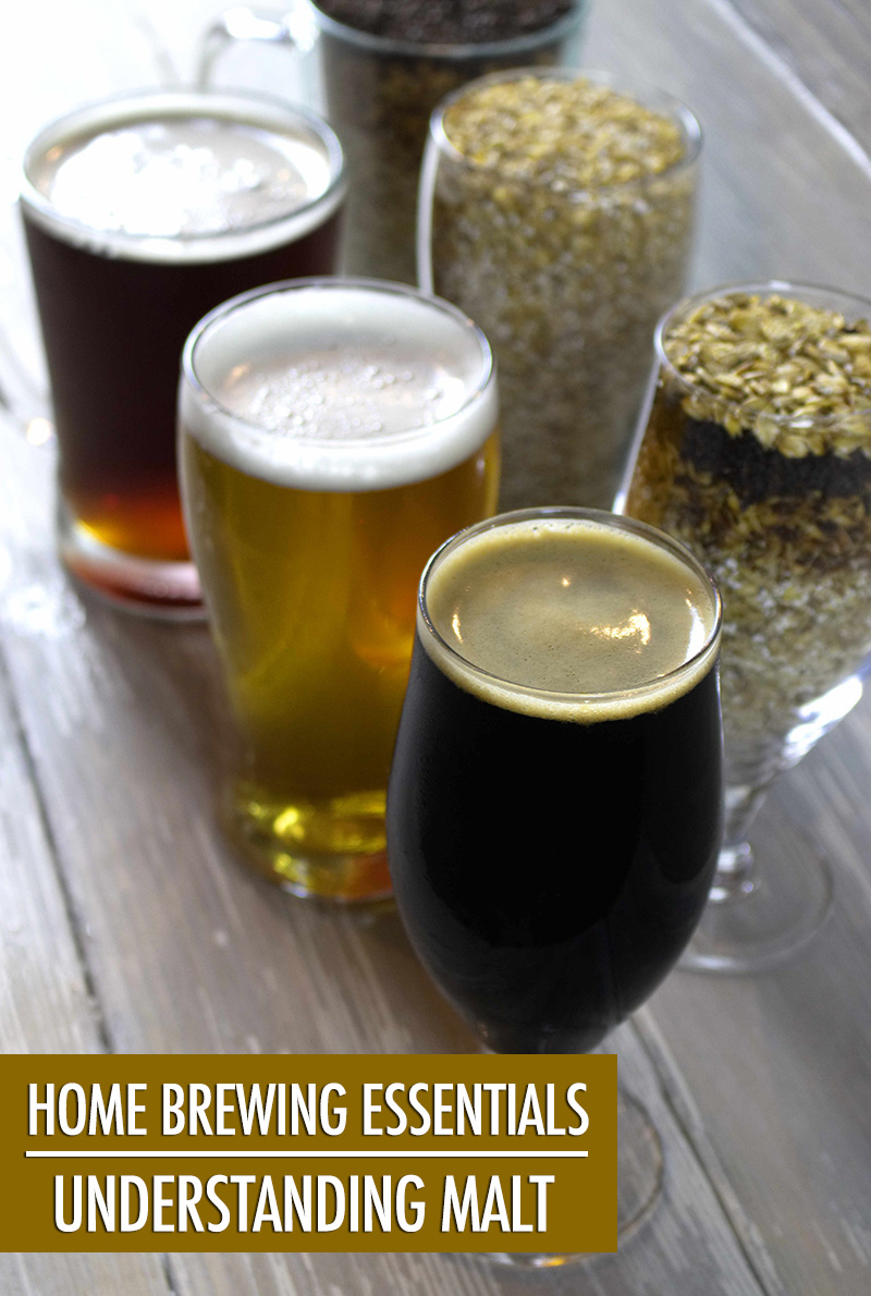 Home Brewing Essentials: Understanding Malt | Food Bloggers of Canada