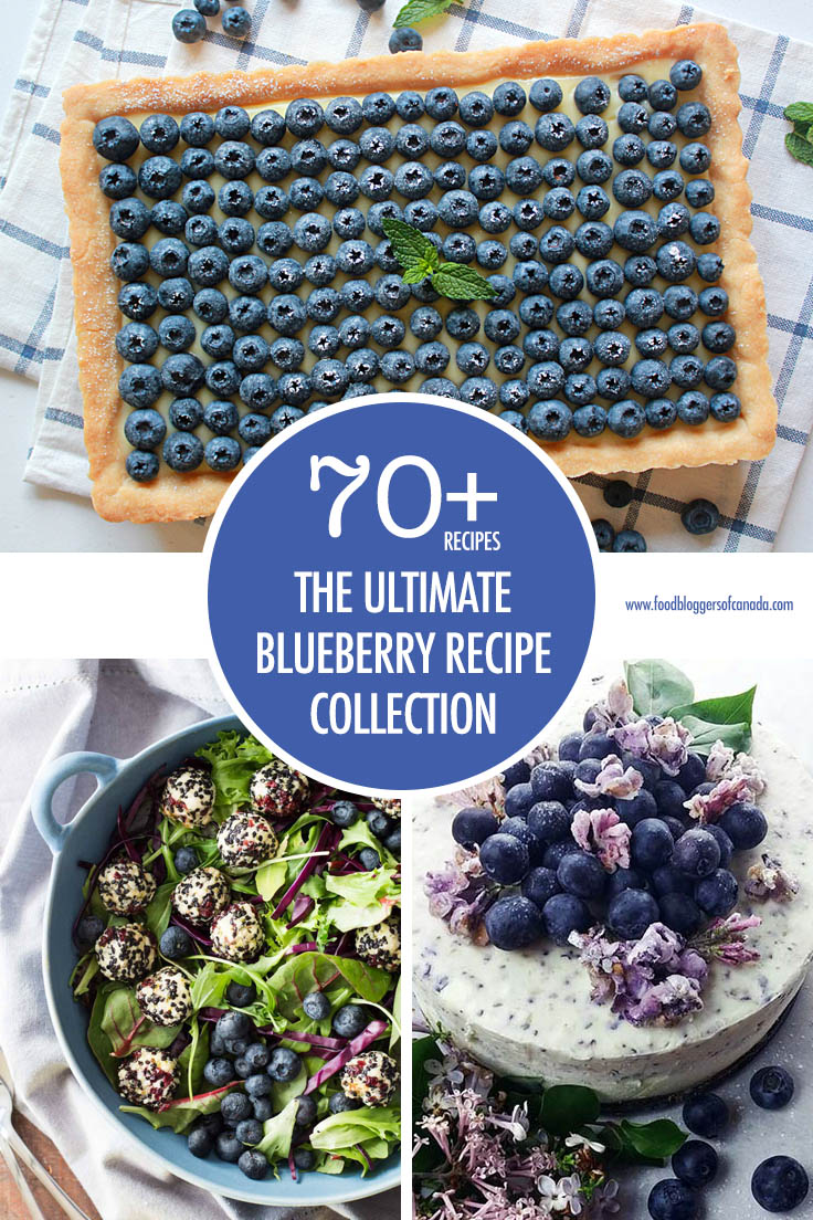 The Ultimate Blueberry Recipe Collection | Food Bloggers of Canada