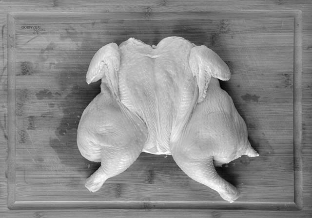 Food Styling Meat: Beef, Pork, Poultry and Fish