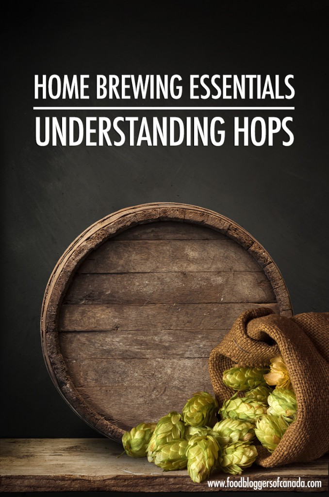 Home Brewing Essentials: Understanding Hops