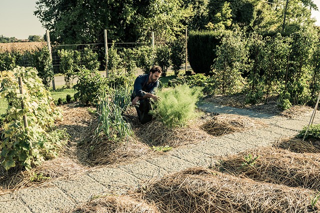 Grow Your Own Food: Mulching, Weeding and Saving Seeds | Food Bloggers of Canada