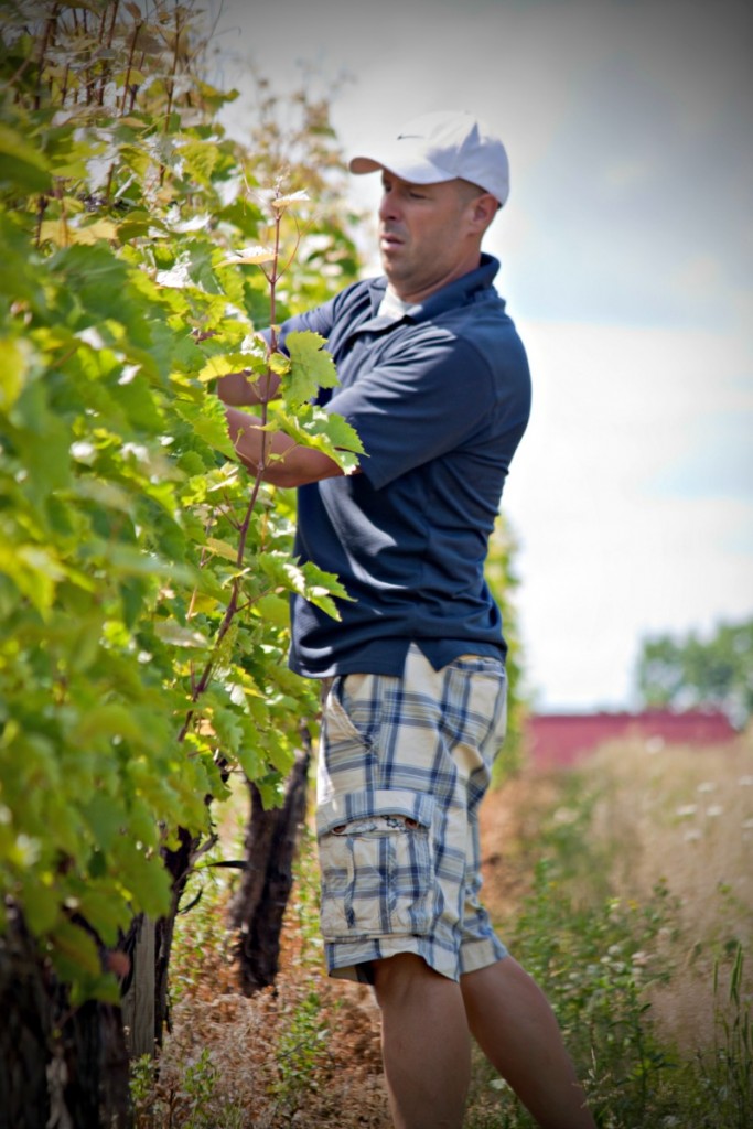 Canadian Wine: Nova Scotia's Avondale Sky Winery