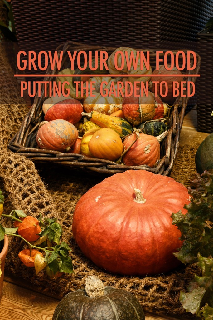 Grow Your Own Food: Putting the Garden to Bed | Food Bloggers of Canada