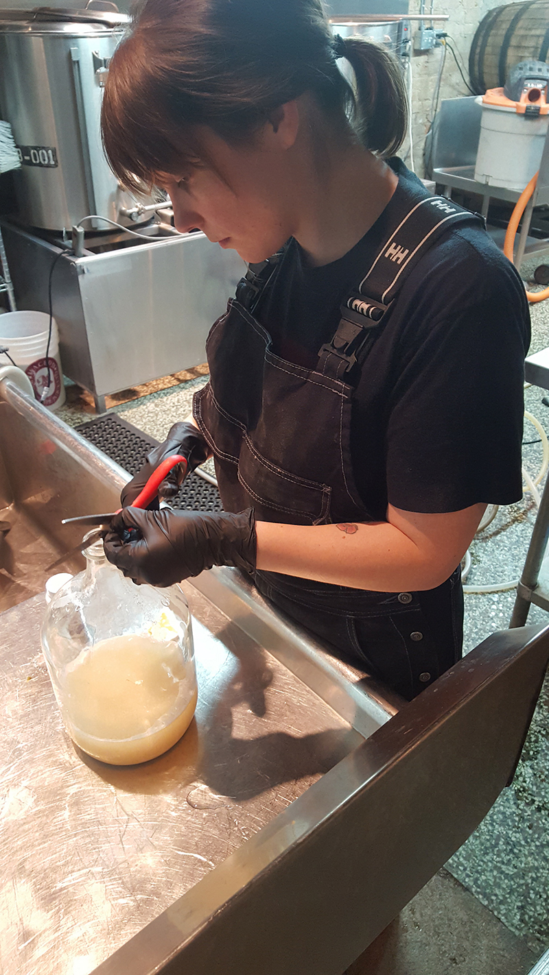 Ontario Craft Beer: The Story of Folly Brewpub's Success