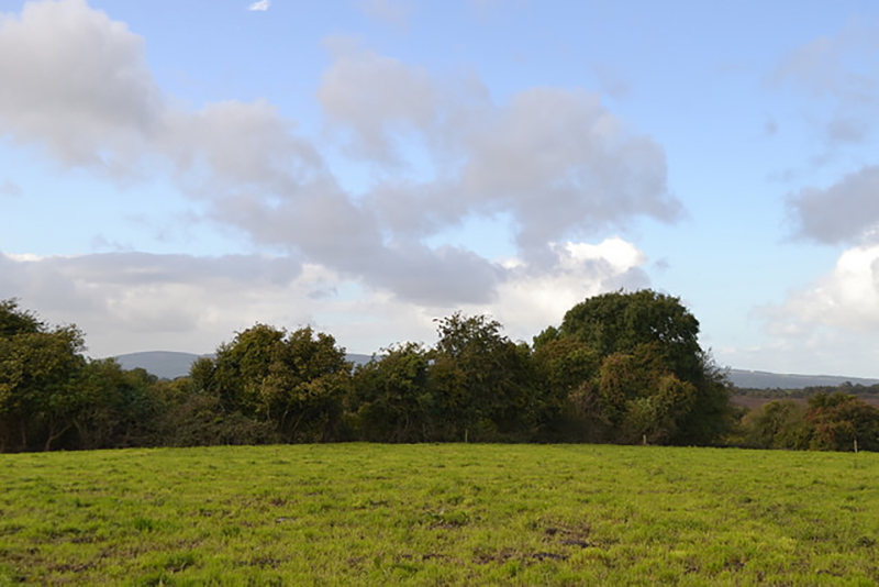 Halloween in Ireland: Samhain and Barmbrack