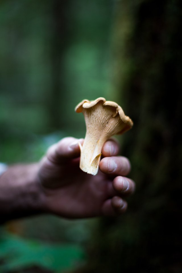 Featured Foodie: The Simple Green | Food Bloggers of Canada