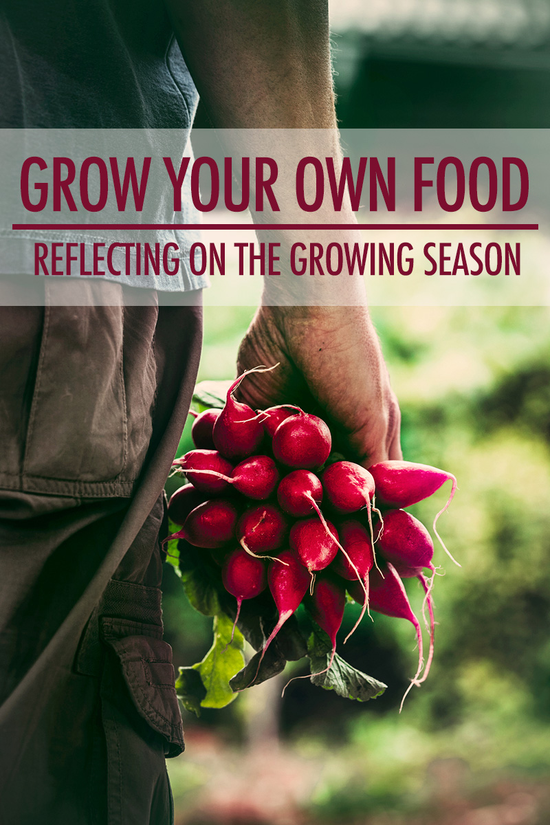 Grow Your Own Food: Reflecting on the Growing Season | Food Bloggers of Canada