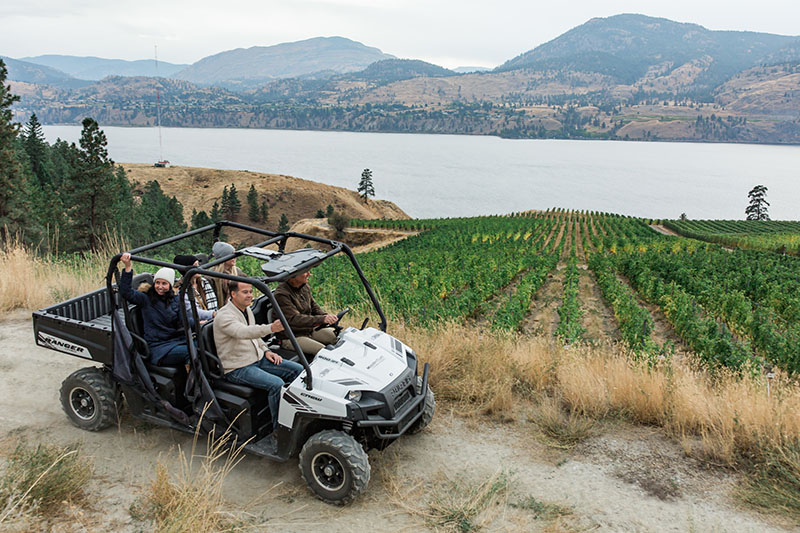 Driving through an Okanagan vineyard