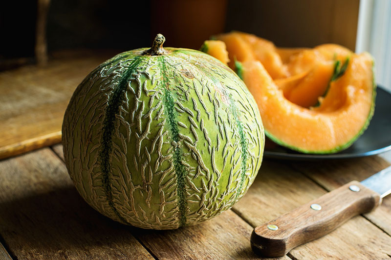 Growing Melons in Canada | Food Bloggers of Canada