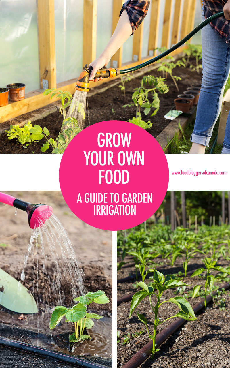 A guide to garden irrigation | Food Bloggers of Canada