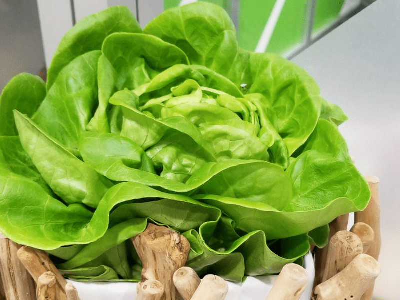 What You Need To Know Before You Go To the Grocery Store