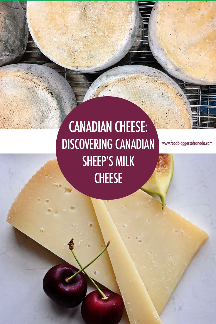 Discovering Canadian Sheep's Milk Cheeses | Food Bloggers of Canada