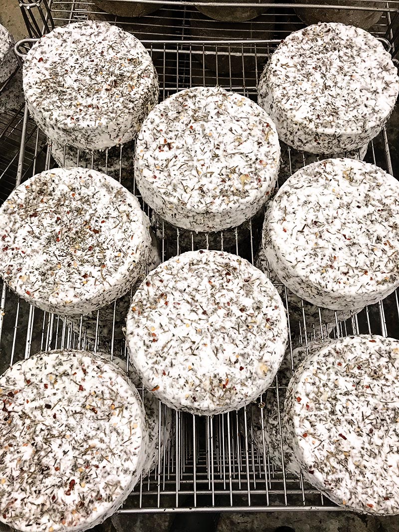 Piacere Cheese Monforte Dairy